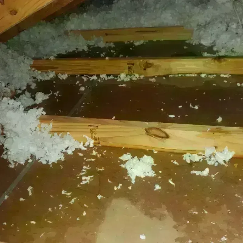 Attic Water Damage in Clinton, KY